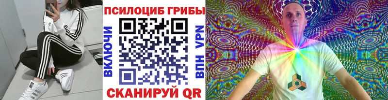 Галлюциногенные грибы Psilocybine cubensis  Шиханы 